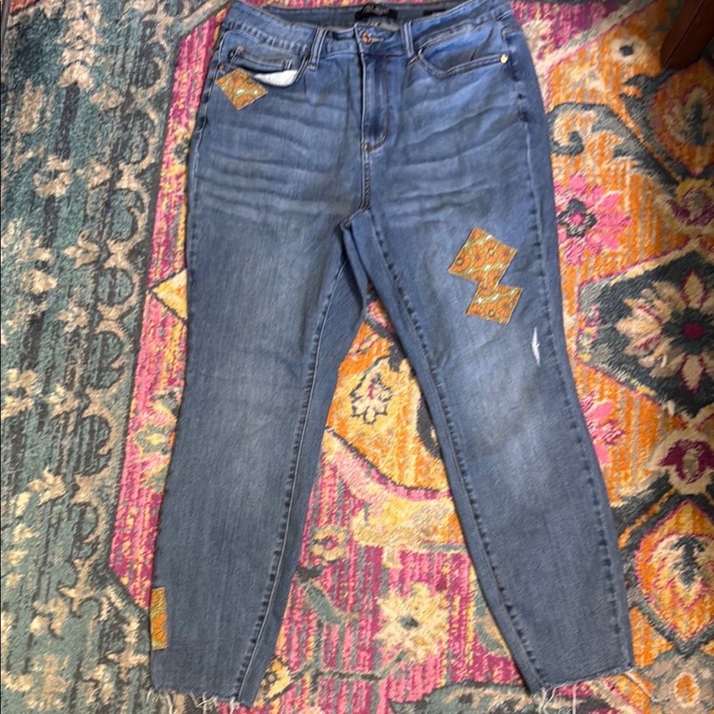 Judy Blue Patchwork Skinny Jeans - Blue and Orange sz 16w